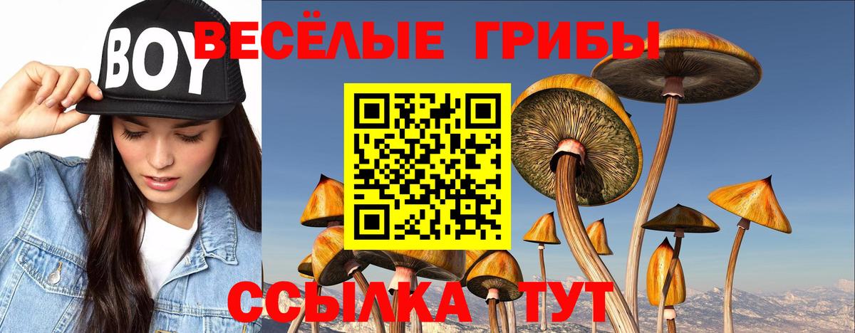 как найти закладки  Псилоцибиновые грибы прущие грибы  Вход с VPN  Новокубанск 